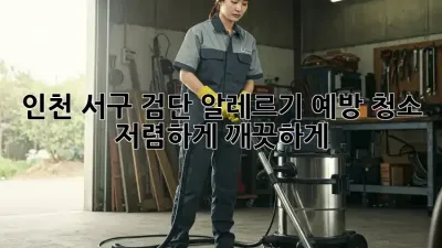 인천 서구 검단 알레르기 예방 청소: 저렴하게 깨끗하게!